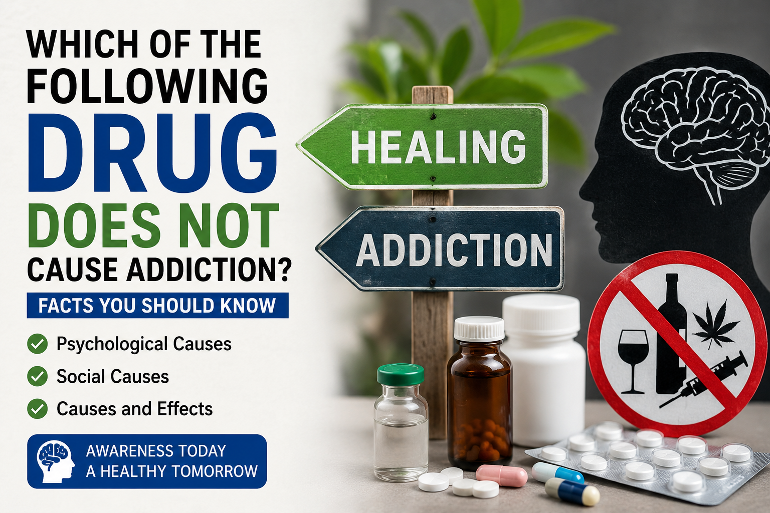 Which of the following drug does not cause addiction infographic showing addiction awareness, causes, effects, prevention, and recovery support.